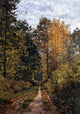 Claude Oscar Monet Path in the Forest, 18"x27" Wall Decal Print