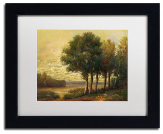 Daniel Moises 'Tranquility' Framed Art, Black Frame, 11"x14", White Matte