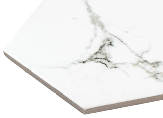 Timeless Hex Calcatta Porcelain Floor and Wall Tile