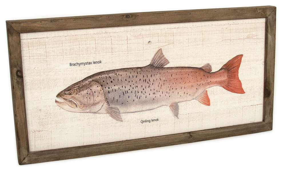 Qinling Lenok Wood Panel Print Art, Small