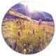 Mountain Pasture With Pink Flowers, Flower Disc Metal Artwork, 23"
