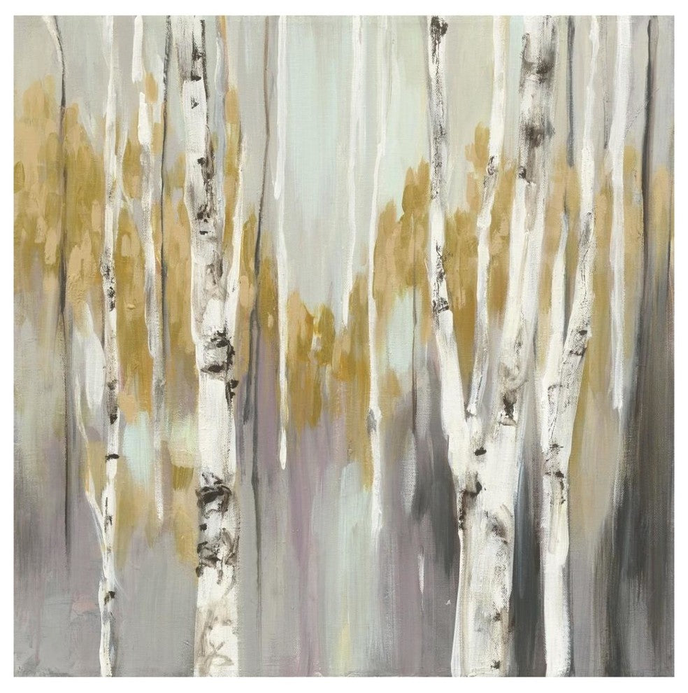 "Silver Birch II" Digital Paper Print by Julia Purinton, 42"x42"
