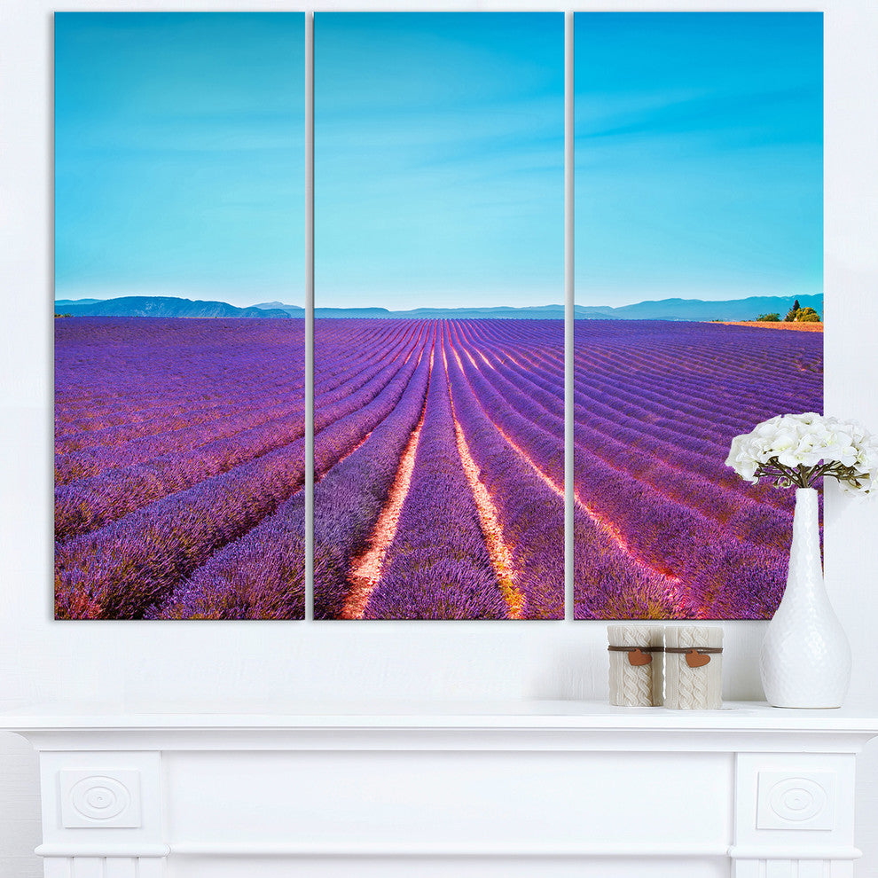 "Lavender Flowers and Clear Sky" Metal Wall Art, 3 Panels, 36"x28"