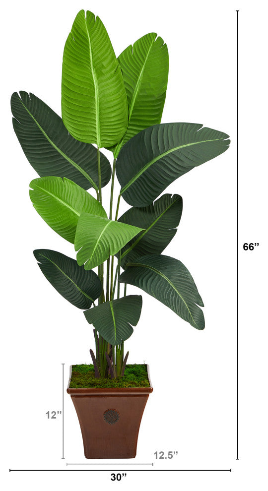 5.5' Travelers Palm Artificial Tree, Brown Planter