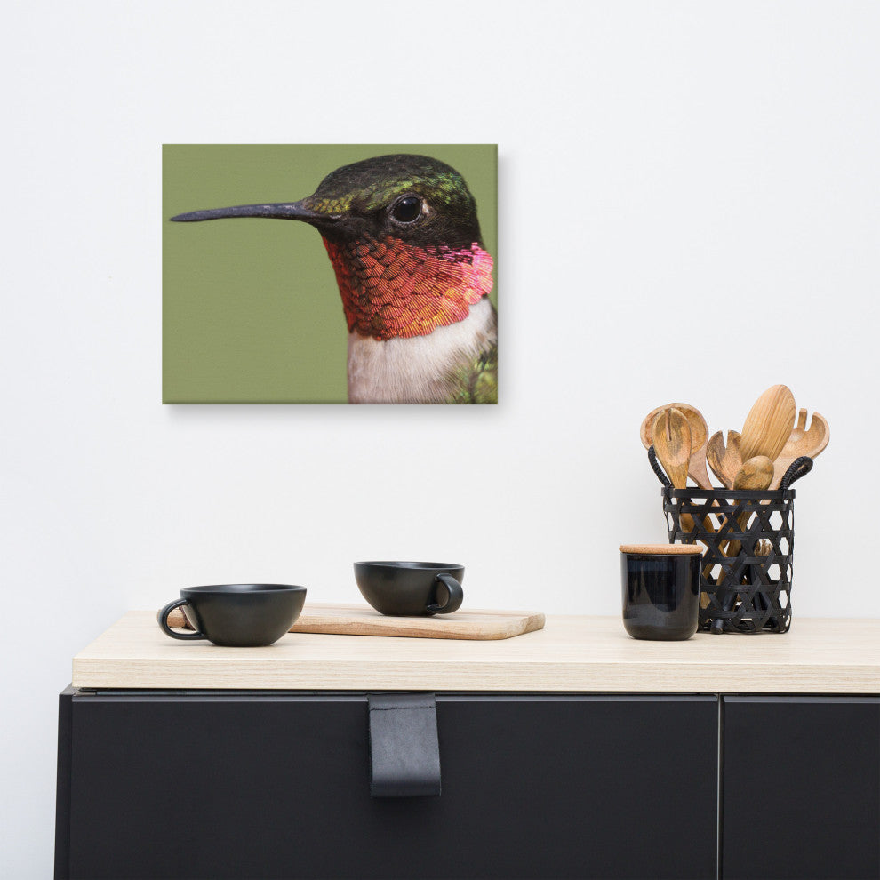 Close-up Ruby-throated Hummingbird Wildlife Photograph Canvas Wall Art Print, 12" X 16"
