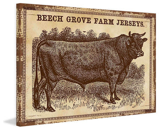 "Cows Jerseys 2" Painting Print on Canvas