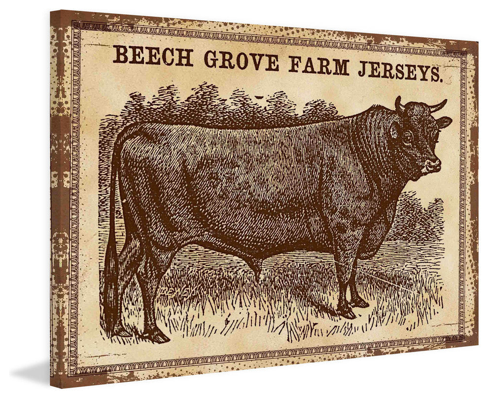 "Cows Jerseys 2" Painting Print on Canvas