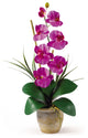 Single Stem Phalaenopsis Silk Orchid Arrangement, Orchid