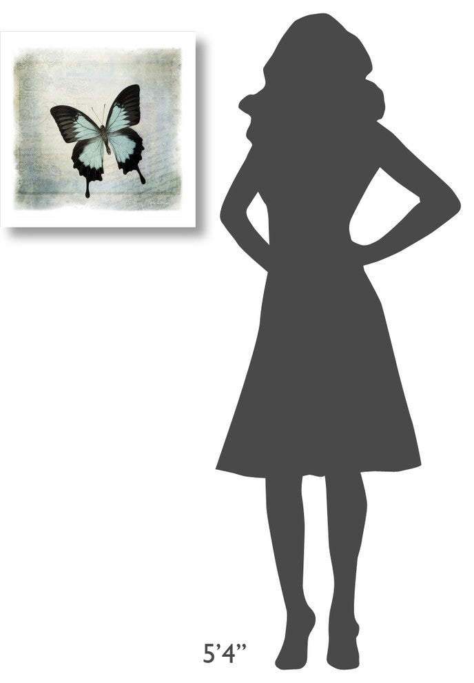 "Floating Butterfly III" Digital Paper Print by Debra Van Swearingen, 20"x20"
