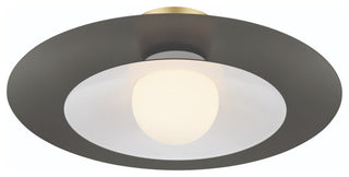 Welsh 1 Light LED 18" Sconce, Gray