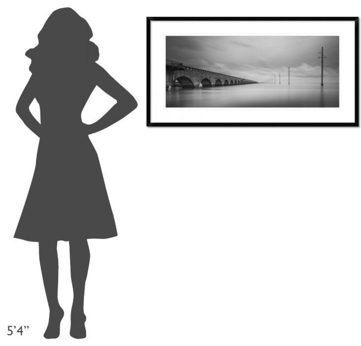 "Birds Talking" Framed Digital Print by Art Lionse, 44x23"