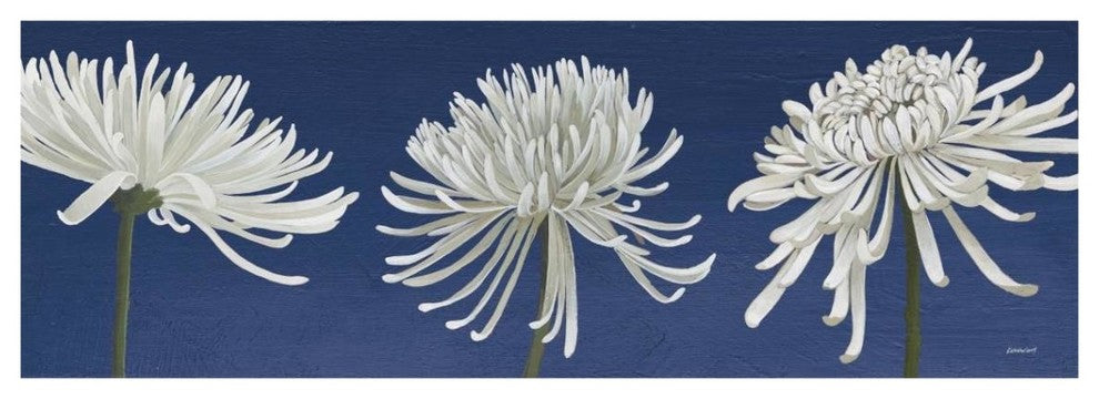 "Morning Chrysanthemums V Indigo" Paper Print by Kathrine Lovell, 38"x14"