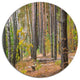 Green Fall Forest With Thick Woods, Forest Round Metal Wall Art, 11"