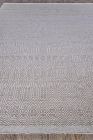 Echo Indoor/Outoor Flatwoven PET yarn Light Beige/Ivory Area Rug