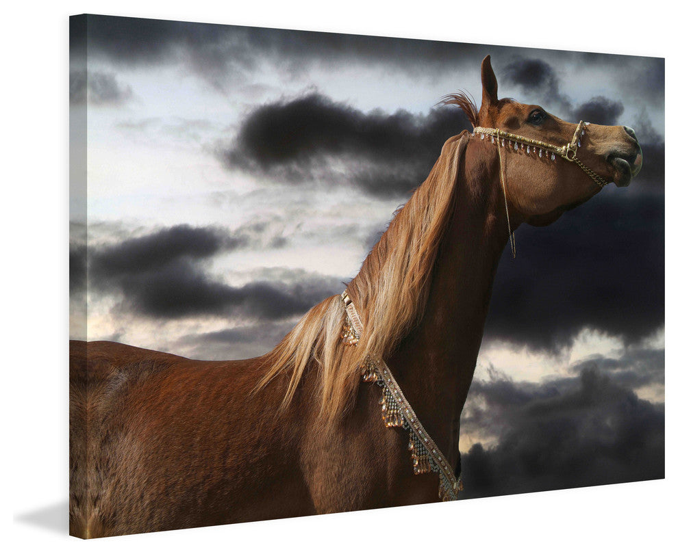 "Rehannah" Print on Canvas by Maggie Dee