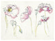 "Pink Somniferums" Digital Paper Print by Shirley Novak, 34"x26"