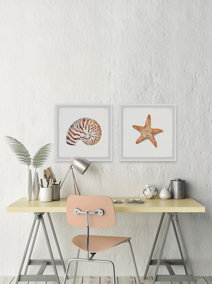 Starry Shell Diptych, 24"x12"