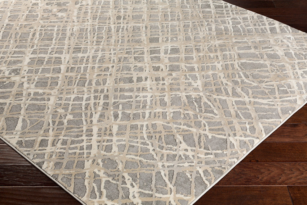 Tibetan Modern Charcoal, Taupe Area Rug, 9'3"x12'3"