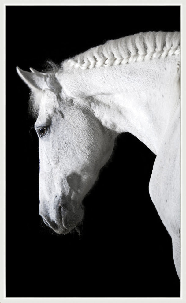 Ollie, Giclee Reproduction Artwork