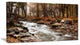 "Stream in Autumn Forest" Landscape Photography Canvas Print, 32"x16"