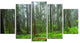 "Hoh Rain Forest" Landscape Photography Glossy Metal Wall Art, 5 Panels, 60"x32"