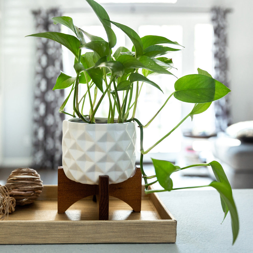 5" Ceramic Dimple Pattern On Wood Stand, White