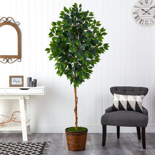 Product shown in a real room setting (lifestyle context) with visible surroundings; full product view.