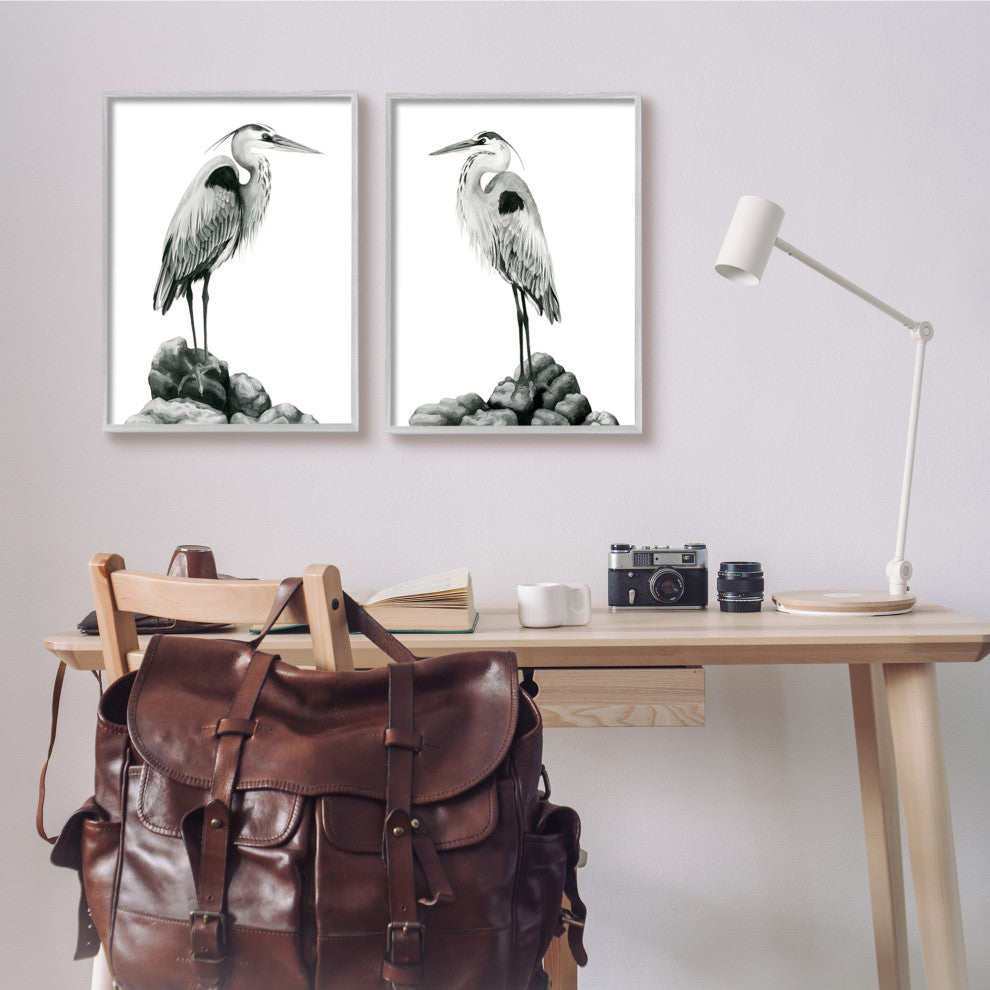 Great Herons Standing Rocks Black White Bird Portraits,16 x 20