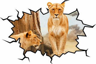VWAQ African Lioness, Wall Decal 3D, 18"x22"
