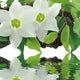 "Peaceful Reflections I" Tempered Glass Wall Art