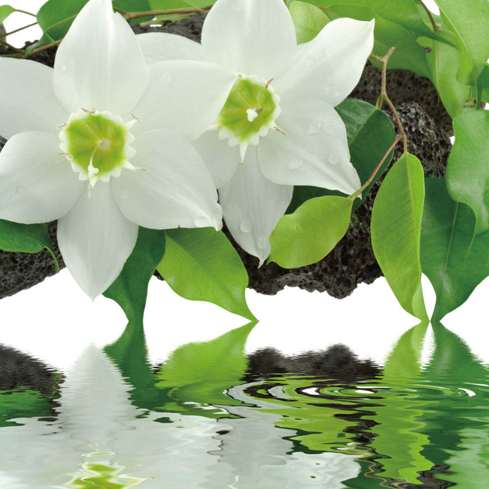 "Peaceful Reflections I" Tempered Glass Wall Art