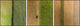 Crop Rows Triptych, 36x12