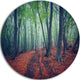 Beautiful Green Autumn Forest, Landscape Photo Round Wall Art, 11"