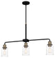 Quoizel COX336MBK 3-Light Linear Chandelier, Cox