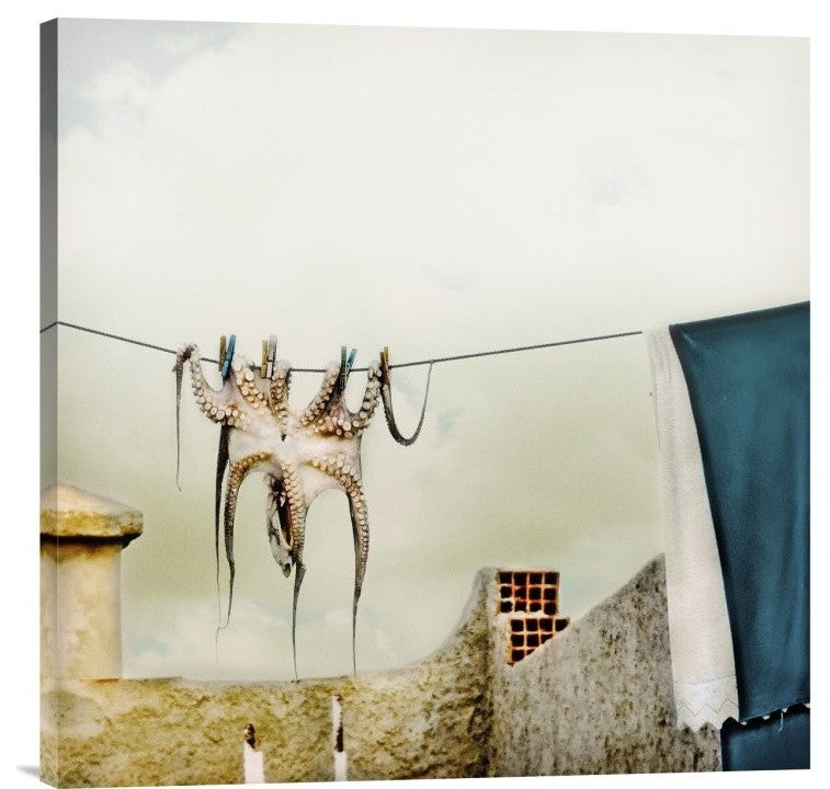 "Tote Hose" Stretched Canvas Giclee by Ambra, 24x24"