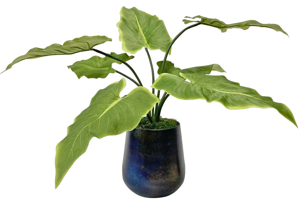 Uttermost Mari Calla Accent Plant