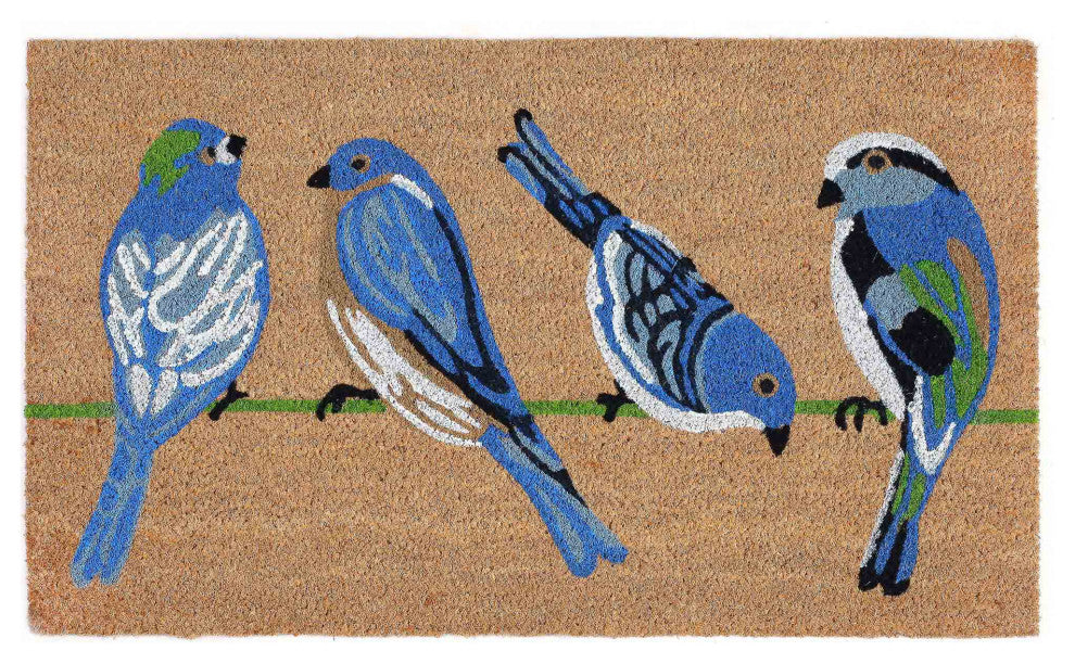 Natura Blue Birds Outdoor Mat Natural 2'x3'
