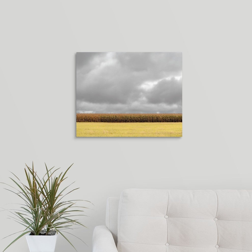 "Row of Corn" Wrapped Canvas Art Print, 20"x16"x1.5"