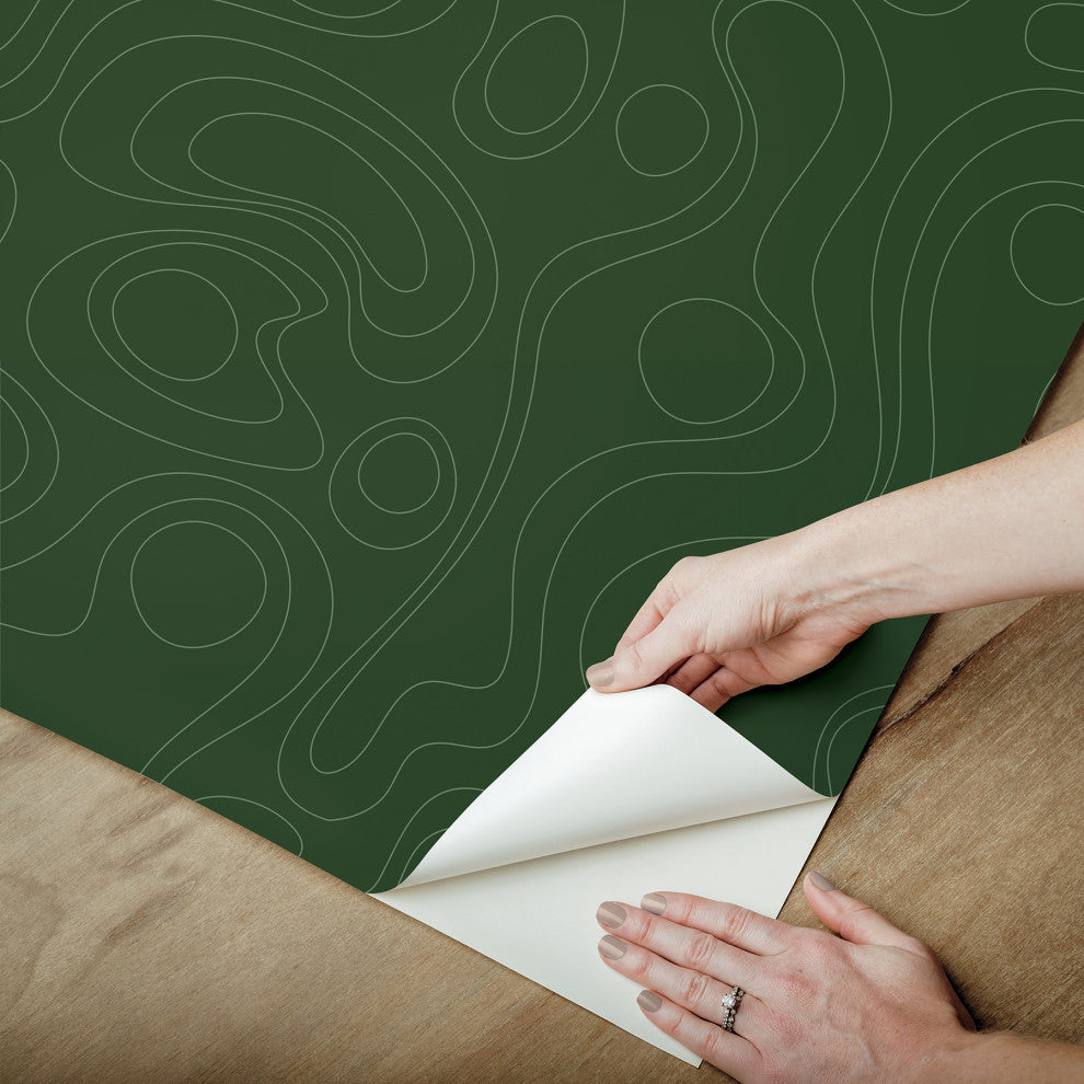 Emily Rayna Green Lineation Peel and Stick Wallpaper