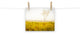 Dreams of Goldenrod and Fog Landscape Photo Unframed Wall Art Print, 8" X 10"