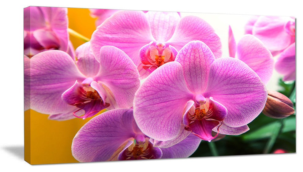 Beautiful Purple Orchid Flowers, Large Flower Canvas Art Print, 32"x16"