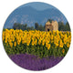 Lavender And Sunflower In Provence, Floral Wall Disc Metal Artwork, 23"