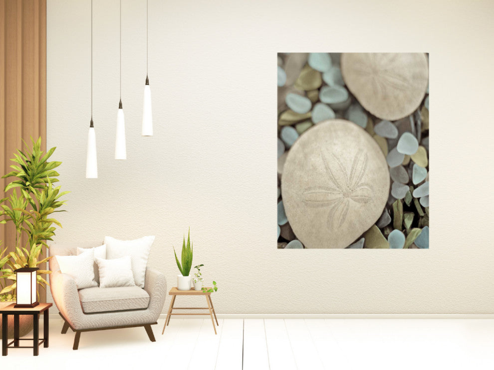 20" Sand Dollar and Seaglass Giclee Wrap Canvas Wall Art