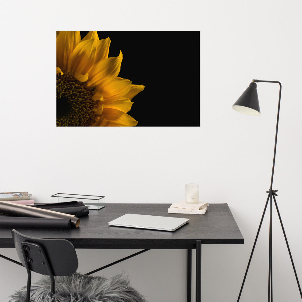 Sunflower in Corner Nature Photography, Floral Unframed Wall Art Print, 24" X 36"