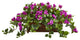 Bougainvillea Artificial Plant in Decorative Planter