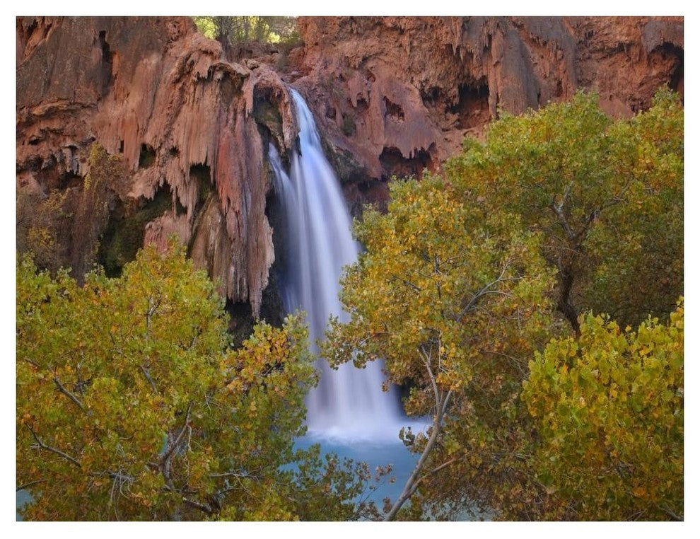 "Havasu Falls, Grand Canyon, Arizona" Paper Print by Tim Fitzharris, 50"x38"