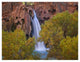 "Havasu Falls, Grand Canyon, Arizona" Paper Print by Tim Fitzharris, 50"x38"