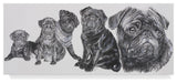 "Growing Up Pug" by Barbara Keith, Canvas Art