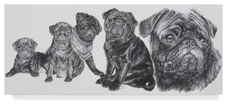 "Growing Up Pug" by Barbara Keith, Canvas Art