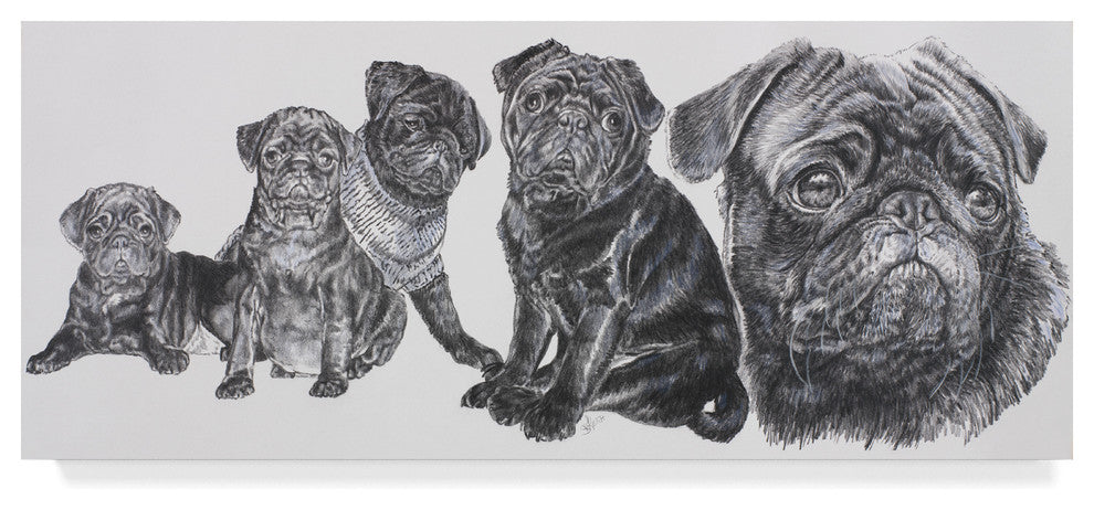 "Growing Up Pug" by Barbara Keith, Canvas Art